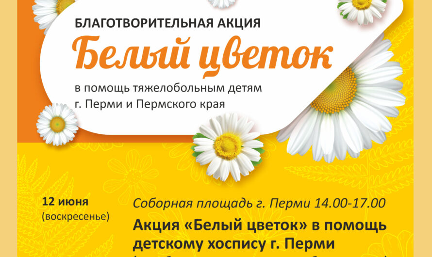 В Перми пройдет благотворительная акция «Белый цветок»