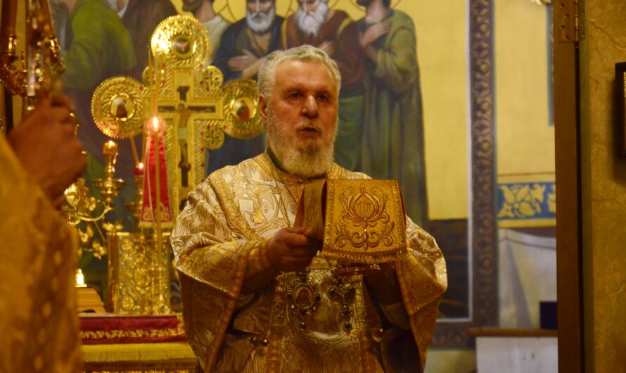 «Воплотившись, Господь принял на Себя бремя всех поколений людей»